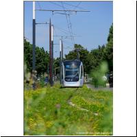 2021-07-19 °T9 Orly Gaston Viens Wendegleis 04.jpg